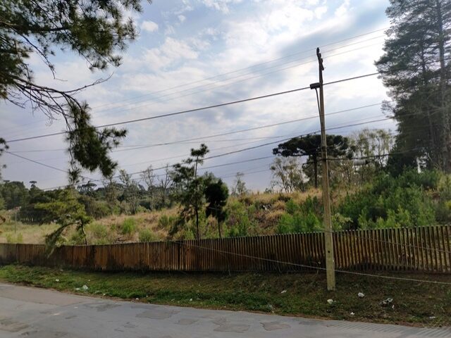 IMOVEL:- O QUINHAO NO 02 (DOIS) COM A AREA DE 9.584,92 M2, localizado em São José Dos Pinhais - PR, bairro Borda do Campo