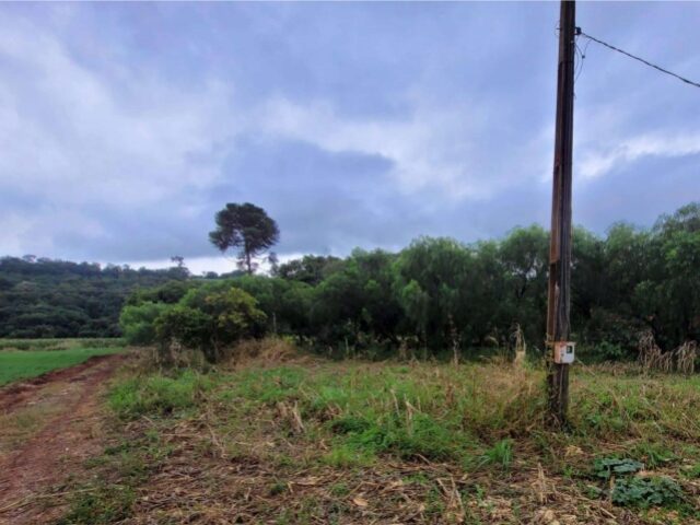 Imagem do imóvel IDENTIFICACAO DO BEM: DIREITOS POSSESSORIOS DO EXECUTADO SOBRE O SITIO NOSSA SENHORA , LOCALIZADO NA AREA DELIMITADA NA