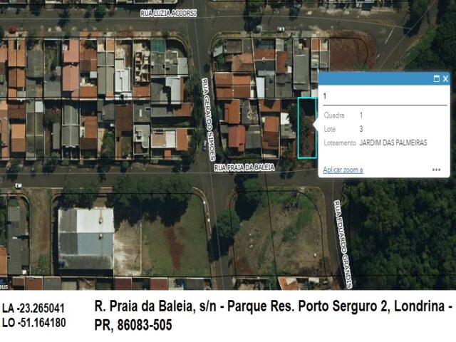 Lote 218 data de terras sob no 03 (tres), da quadra no 01 (um), medindo a area de 250,00 metros quadrados