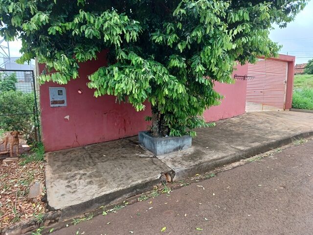 Lote 300 data de terras sob no 19 (dezenove), da quadra no 08 (oito), medindo a area de 200,00 metros quadrados, situada no jardi