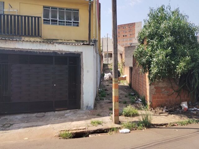 DATA DE TERRAS Nº 95 DA QUADRA Nº 05, MEDINDO A ÁREA DE 295,94M² - RUA CAJA, 80, localizado em Londrina - PR, bairro Jardim Panorama