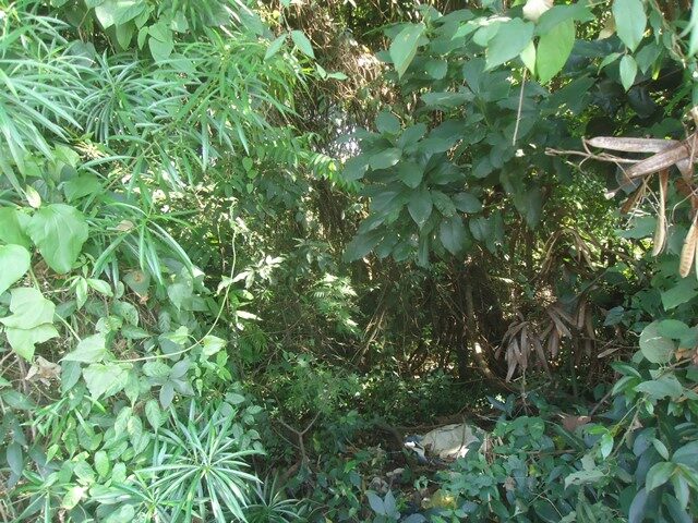 CHÁCARA Nº 05, SUBDIVISÃO DO LOTE Nº 59, MEDINDO 3.540,15M² - AVENIDA BRASILIA, S/N°, localizado em Londrina - PR