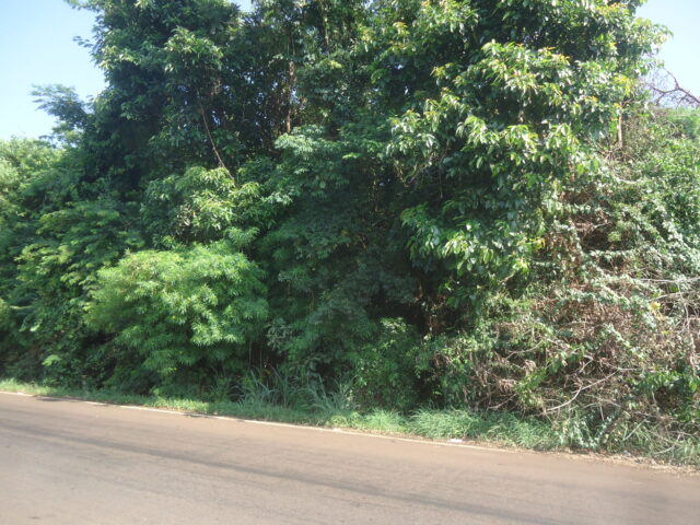 CHÁCARA Nº 05, SUBDIVISÃO DO LOTE Nº 59, MEDINDO 3.540,15M² - AVENIDA BRASILIA, S/Nº, localizado em Londrina - PR