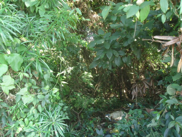 CHÁCARA Nº 05, SUBDIVISÃO DO LOTE Nº 59, MEDINDO 3.540,15M² - AVENIDA BRASILIA, S/Nº, localizado em Londrina - PR