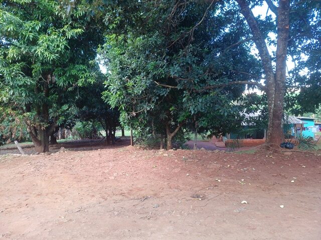 CHÁCARA DE TERRAS Nº 55 DA SUBDIVISÃO DO LOTE 14-F MEDINDO 4.350,00 M² - RUA JOSE GONCALVES VIANA FILHO, S/Nº, localizado em Londrina - PR