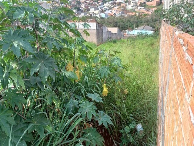 LOTE Nº 07, DA QUADRA Nº 06, COM A ÁREA DE 300,00M² - RUA DO FUTEBOL, S/Nº, localizado em Londrina - PR, bairro Jardim Olimpico
