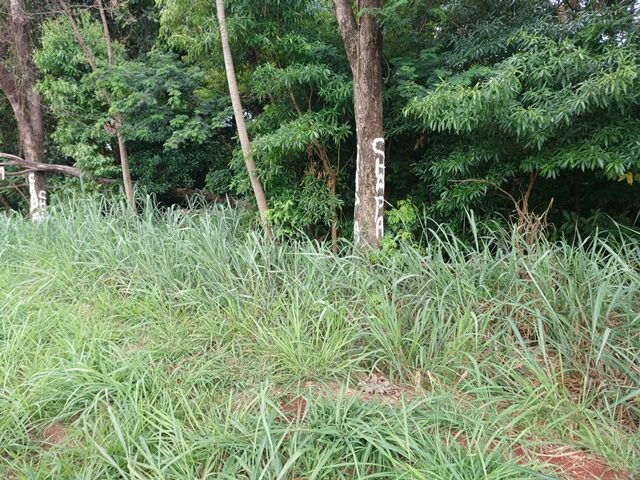 CHÁCARA Nº 03, MEDINDO A ÁREA TOTAL DE 3.103,10M² - AVENIDA BRASÍLIA, S/Nº, localizado em Londrina - PR
