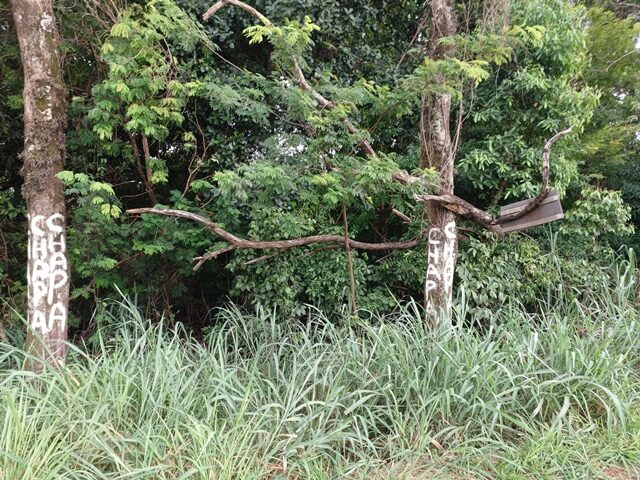 CHÁCARA Nº 03, MEDINDO A ÁREA TOTAL DE 3.103,10M² - AVENIDA BRASÍLIA, S/Nº, localizado em Londrina - PR