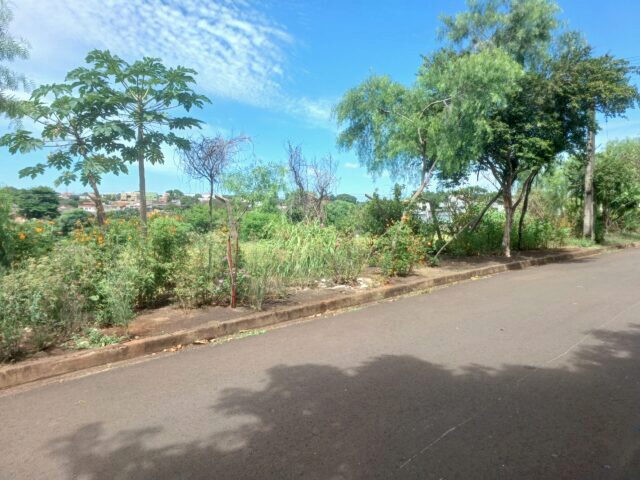 CHÁCARA DE TERRAS SOB Nº 26, MEDINDO A ÁREA DE 15.750,00M² - RUA MADRE HENRIQUETA DOMINICI, S/Nº, localizado em Londrina - PR, bairro Jardim Shangri-lá