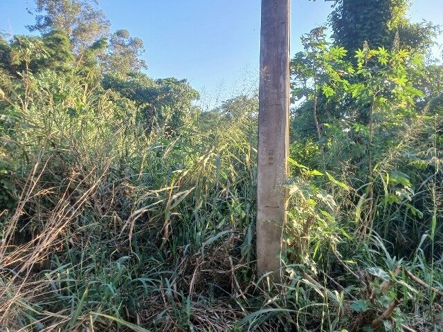 CHÁCARA DE TERRAS SOB Nº 01 (UM), COM A ÁREA DE 3.440,00M² - RUA EBIO FERRAZ DE CARVALHO, S/Nº, localizado em Londrina - PR