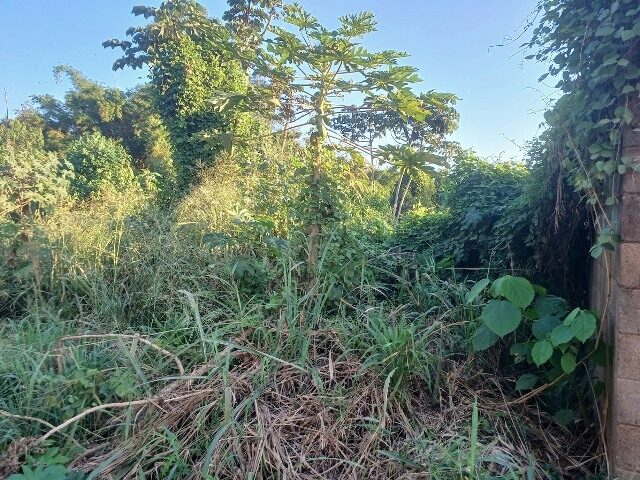 CHÁCARA DE TERRAS SOB Nº 01 (UM), COM A ÁREA DE 3.440,00M² - RUA EBIO FERRAZ DE CARVALHO, S/Nº, localizado em Londrina - PR