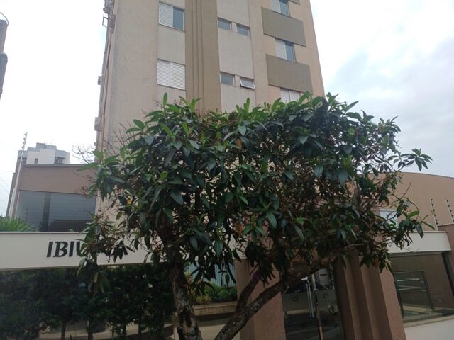 Imagem 5