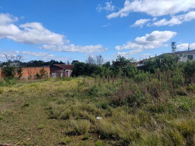 IMÓVEL 119.220,17M2, RUA AUGUSTO ANCIUTTI SOBRINHO, S/N - VILA SÃO JOÃO - IRATI/PR, localizado em Irati - PR, bairro Vila São João