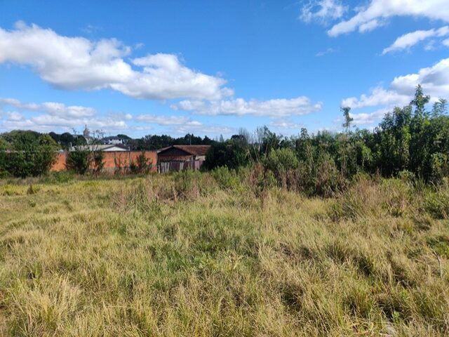 IMÓVEL 119.220,17M2, RUA AUGUSTO ANCIUTTI SOBRINHO, S/N - VILA SÃO JOÃO - IRATI/PR, localizado em Irati - PR, bairro Vila São João