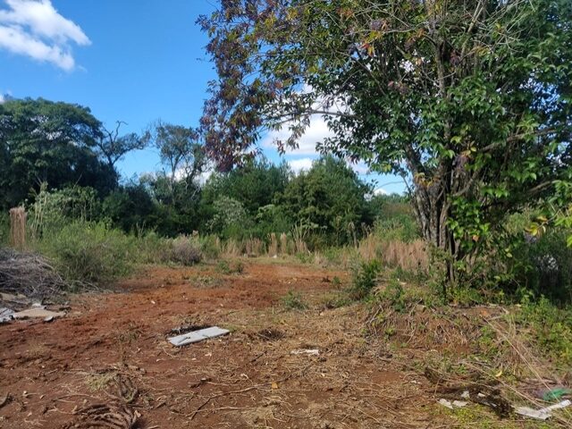IMÓVEL 119.220,17M2, RUA AUGUSTO ANCIUTTI SOBRINHO, S/N - VILA SÃO JOÃO - IRATI/PR, localizado em Irati - PR, bairro Vila São João