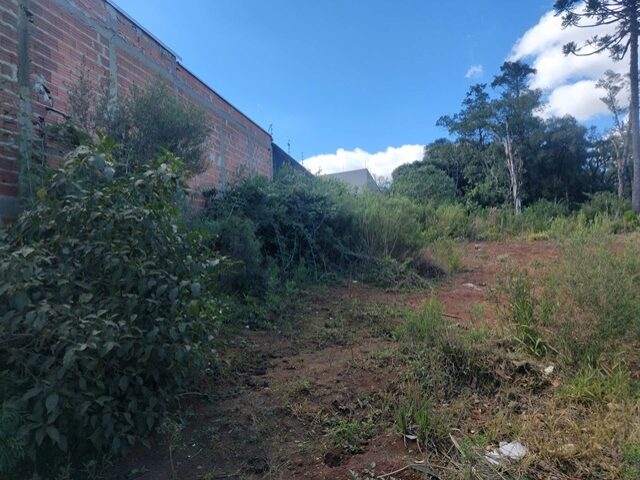 IMÓVEL 119.220,17M2, RUA AUGUSTO ANCIUTTI SOBRINHO, S/N - VILA SÃO JOÃO - IRATI/PR, localizado em Irati - PR, bairro Vila São João
