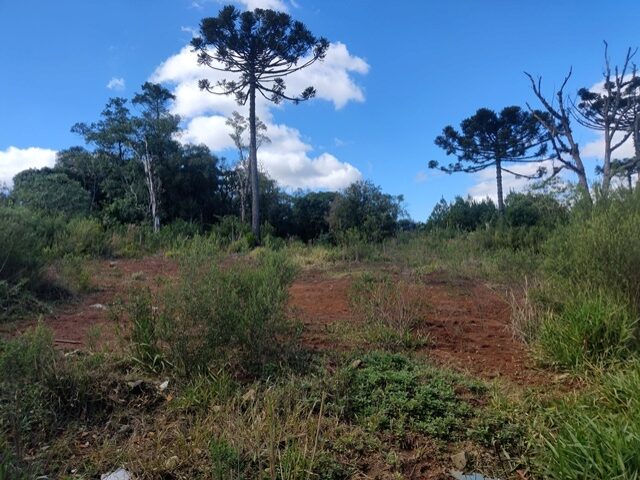 IMÓVEL 119.220,17M2, RUA AUGUSTO ANCIUTTI SOBRINHO, S/N - VILA SÃO JOÃO - IRATI/PR, localizado em Irati - PR, bairro Vila São João