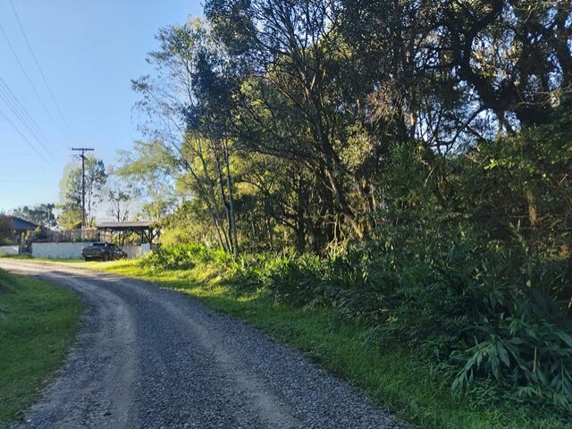 PARTE IDEAL DE 621,00 M2 (SEISCENTOS E VINTE E UM METROS QUADRADOS) DE CELSO TRATCH DE UMA AREA DE TERRAS RURAL, DE PAST, localizado em Mallet - PR, bairro Dorizon