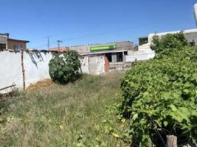 Casa (foto 4 de 8)