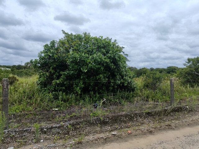 Imagem do imóvel TERRENO COM 702,00M2 - RUA PARDAL, NO 71, PONTAL DO SUL,