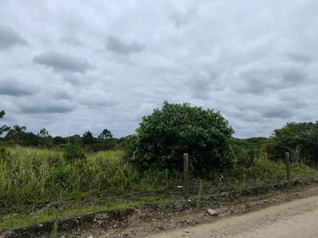 TERRENO COM 702,00M2 - RUA PARDAL, NO 71, PONTAL DO SUL,, localizado em Pontal Do Paraná - PR, bairro Pontal do Sul