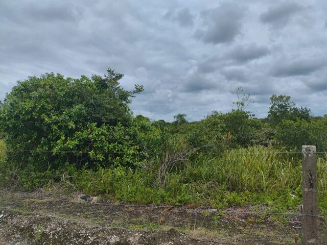 TERRENO COM 702,00M2 - RUA PARDAL, NO 71, PONTAL DO SUL,, localizado em Pontal Do Paraná - PR, bairro Pontal do Sul