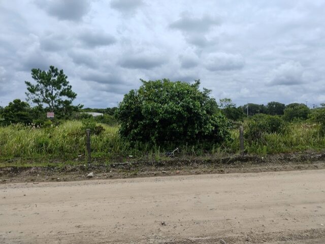 TERRENO COM 702,00M2 - RUA PARDAL, NO 71, PONTAL DO SUL,, localizado em Pontal Do Paraná - PR, bairro Pontal do Sul