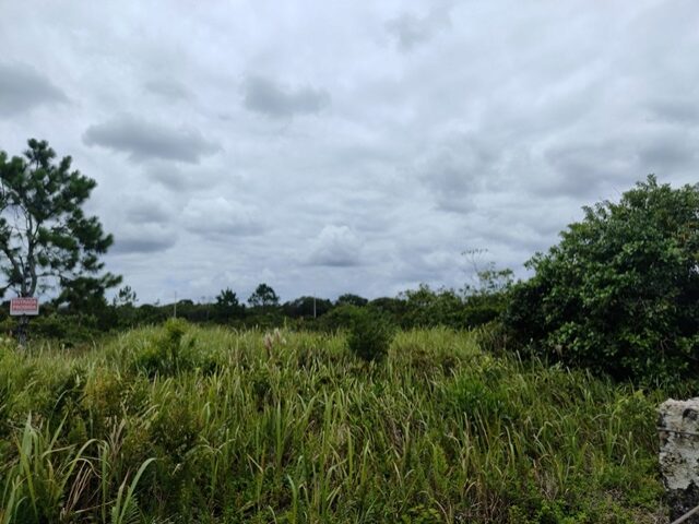 TERRENO COM 702,00M2 - RUA PARDAL, NO 71, PONTAL DO SUL,, localizado em Pontal Do Paraná - PR, bairro Pontal do Sul