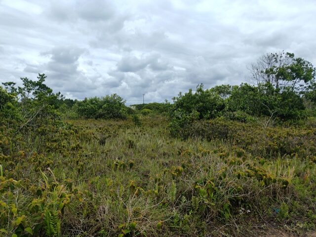 Imagem do imóvel TERRENO COM 560M2 - RUA DOS TUCANOS, NO 91, PONTAL DO SUL,