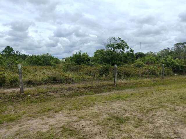 TERRENO COM 560M2 - RUA DOS TUCANOS, NO 91, PONTAL DO SUL,, localizado em Pontal Do Paraná - PR, bairro Pontal do Sul