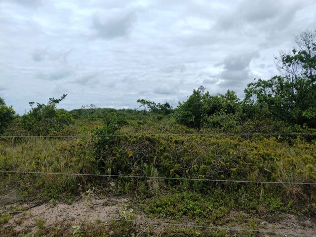 TERRENO COM 560M2 - RUA DOS TUCANOS, NO 91, PONTAL DO SUL,, localizado em Pontal Do Paraná - PR, bairro Pontal do Sul
