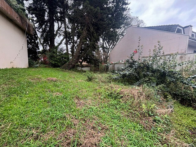 Comercial no Água Verde (foto 81 de 87)