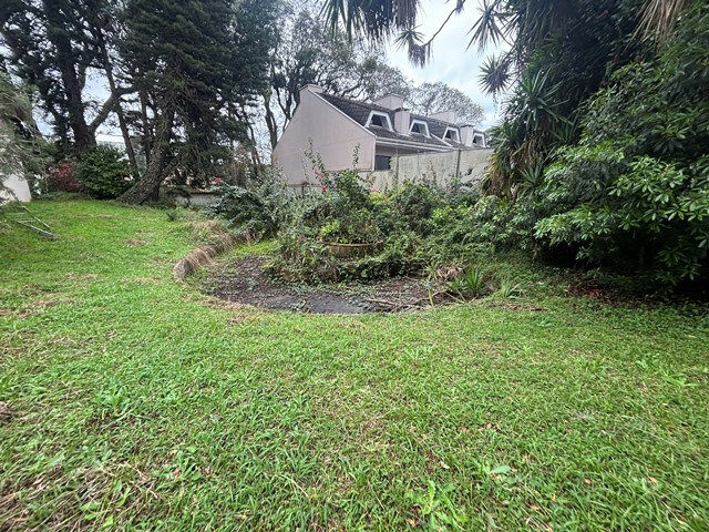 Comercial no Água Verde (foto 78 de 87)