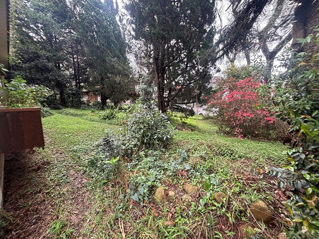 Comercial no Água Verde (foto 83 de 87)