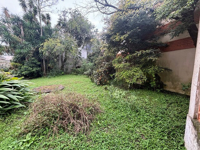 Comercial no Água Verde (foto 74 de 87)