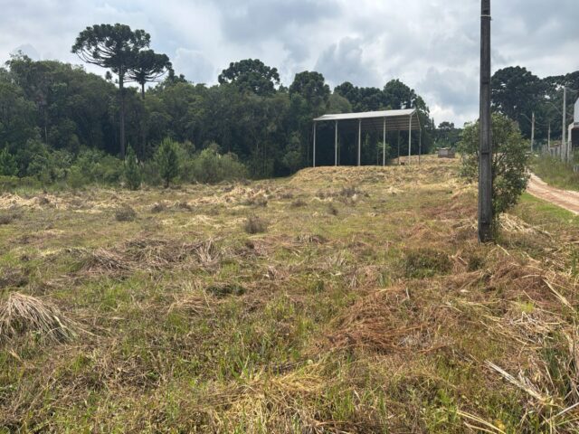 Imagem do imóvel IMÓVEL COM 37.100,00M2 COMPOSTO POR 16 LOTES - ÁREA INDUSTRIAL - CAMPINA GRANDE DO SUL/PR