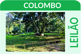 Leilão - Núcleo de Hastas Públicas - Imóvel em Colombo/PR