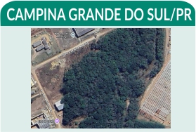 Leilão - Imóvel em Campina Grande do Sul com 37.100m2